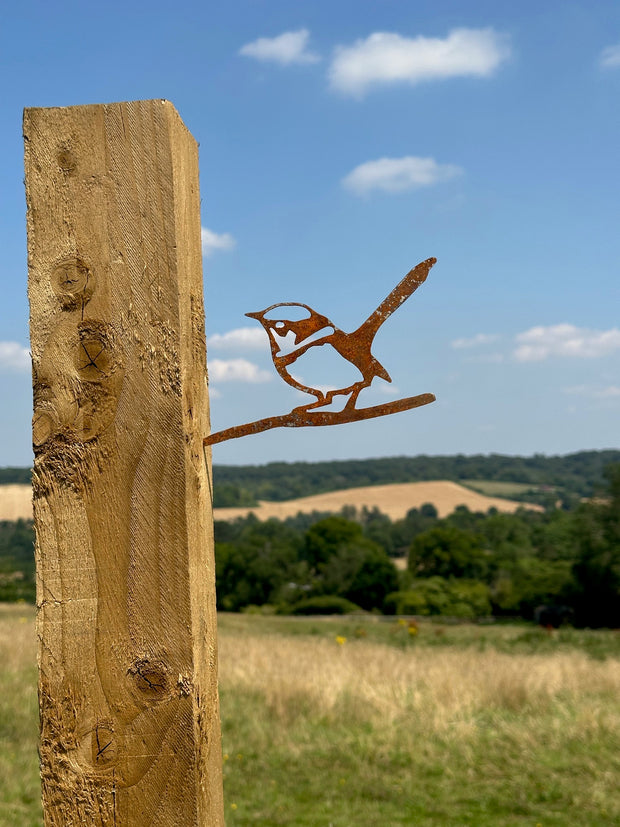 Birds Spike In Tree -  Robin Wren Kingfisher Swallows