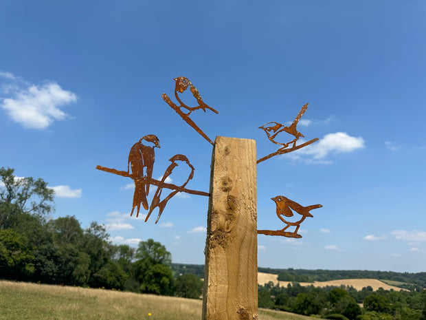 Birds Spike In Tree -  Robin Wren Kingfisher Swallows