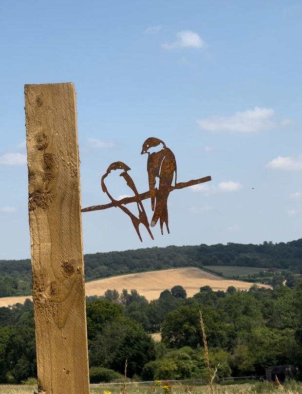 Birds Spike In Tree -  Robin Wren Kingfisher Swallows