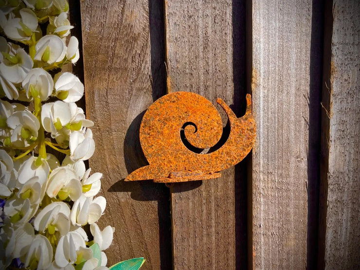 Snail
