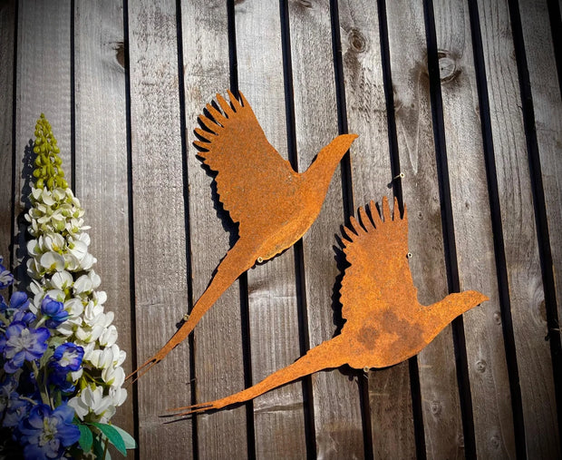 Large Exterior Rustic Pheasant Bird Garden Wall House Gate Sign Hanging Metal Art Pair Sculpture  Gift   Present
