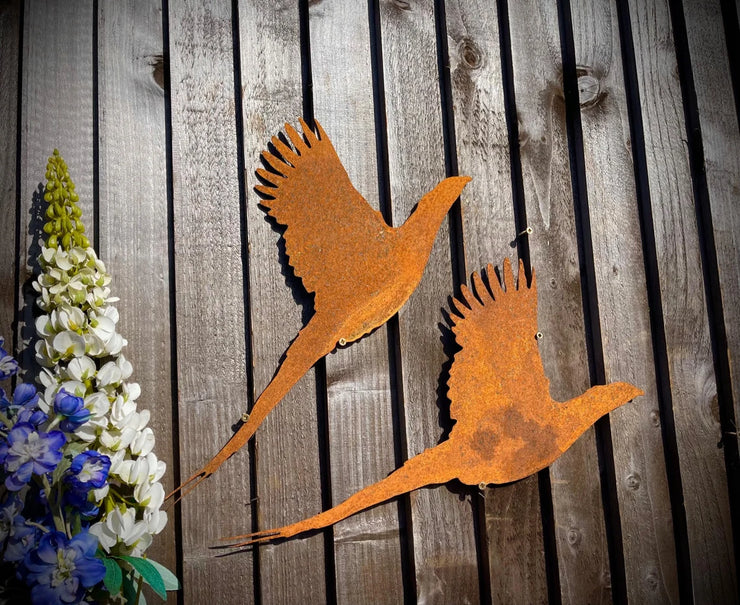 Large Pheasant Pair Wall Art
