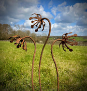Exterior Rustic Rusty Metal Allium Parsley Cow Parsley Flower Flowers Garden Art Garden Stake Yard Art Sculpture Spring Gift Present