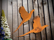 Large Exterior Rustic Pheasant Bird Garden Wall House Gate Sign Hanging Metal Art Pair Sculpture  Gift   Present