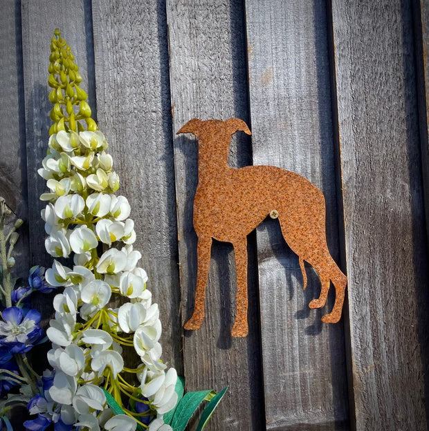Exterior Rustic Rusty Whippet Greyhound Lurcher Dog Garden Wall Hanger House Gate Sign Hanging Metal Art Sculpture  Gift
