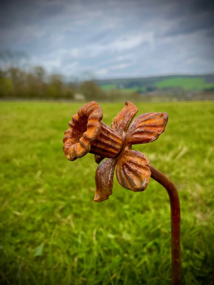 Daffodil Sculpture
