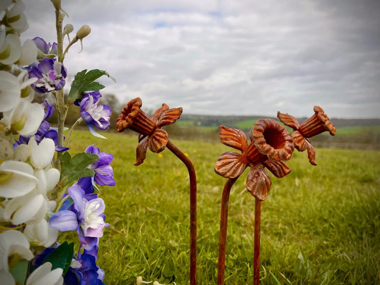 Exterior Rustic Rusty Metal Daffodill Daffodills Flower Garden Art Garden Stake Yard Art Sculpture Spring Gift Present