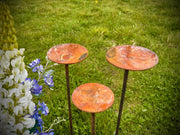 Exterior Rustic Rusty Metal Bird Feeder Rain Dish Bird Bath Garden Art Garden Stake Yard Art Sculpture Spring Gift Present