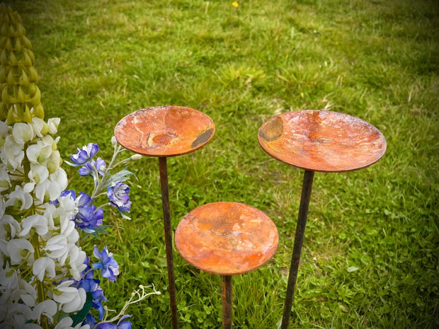 Rusty Dragonfly Art / Rustic Dragonfly Gift / Rusty Metal Dragonfly Garden  Gift / Metal Garden Decor / Pond Decoration / Rustic Garden Art -   Canada