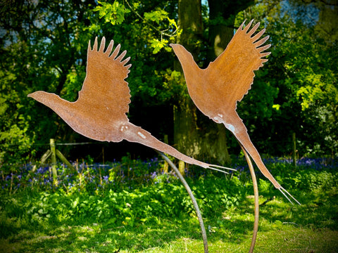 Large Exterior Rustic Metal Pair Of Pheasant Pheasants Bird Garden Stake Yard Art  Flower Bed Vegetable Patch Cottage Sculpture