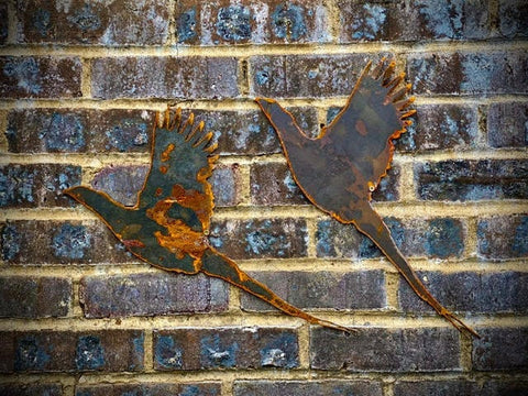 Small Exterior Rustic Single Pheasant Garden Wall House Gate Sign Hanging Metal Art Sculpture  Gift   Present
