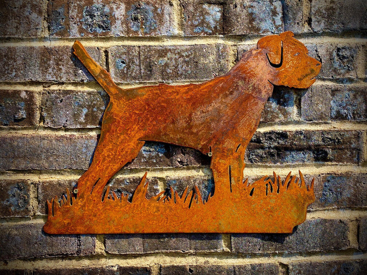 Border Terrier Wall Art