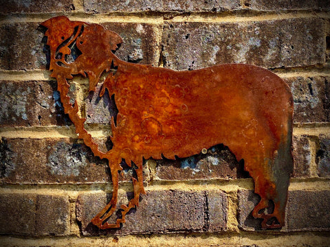 Small Exterior Rustic Rusty Collie Sheepdog Dog Garden Wall Hanger House Gate Fence Sign Hanging Metal Art Sculpture  Gift