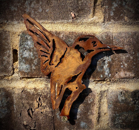 Exterior Rustic Kingfisher Water Bird Garden Wall Art House Gate Fence Shed Sign Hanging Metal Rustic Bird Bath Bird Feeder Art  Gift