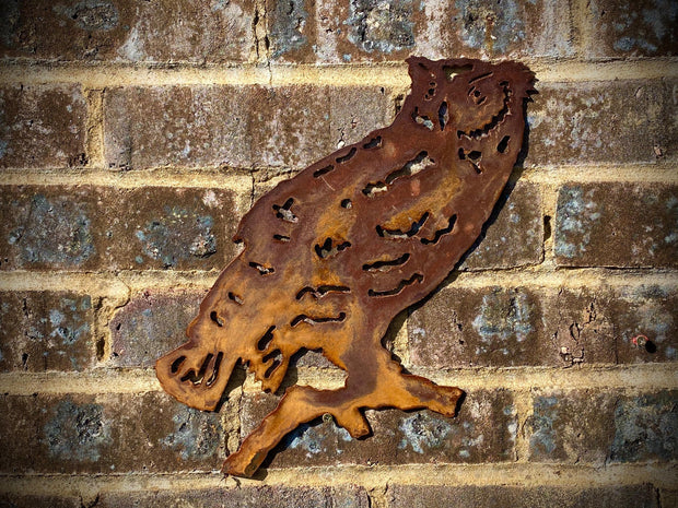 Exterior Rustic Owl Barn Owl Tawny Owl Garden Wall Art House Gate Fence Shed Sign Hanging Metal Rustic Bird Bath Bird Feeder Art  Gift