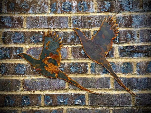 Small Rustic Pair Exterior Pheasant Bird Garden Wall House Gate Fence Sign Hanging Metal Art Sculpture  Gift   Present