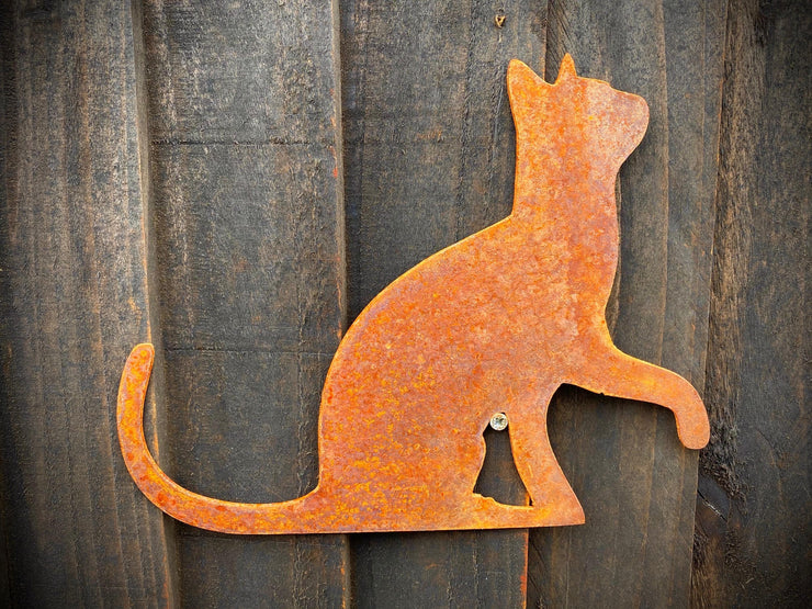 Cat Looking Up Wall Art