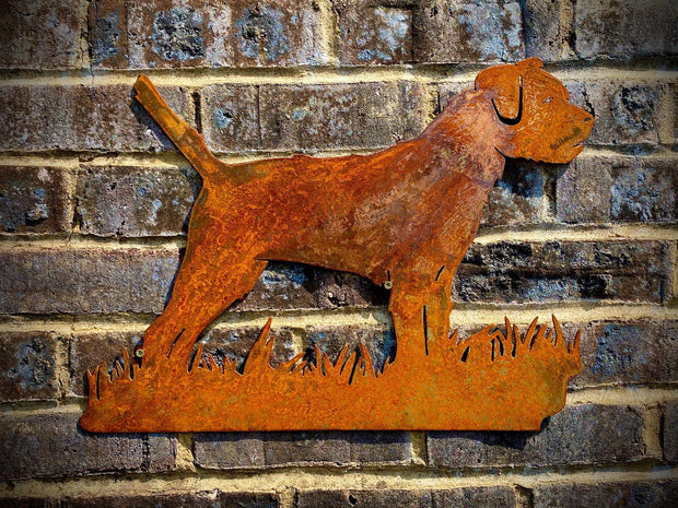 Large Border Terrier Wall Art