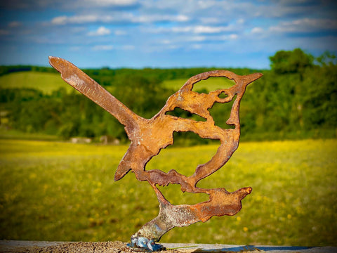 Exterior Rustic Rusty Metal Wren Bird Garden Fence Topper Yard Art Gate Post  Sculpture  Gift   Present