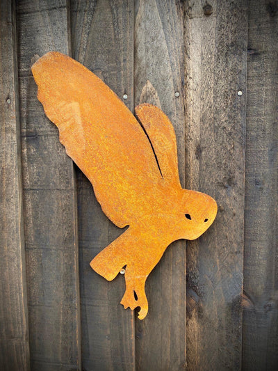 Barn Owl Flying Wall Art
