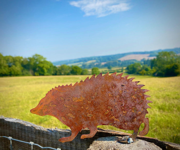 Hedgehog Fence Topper
