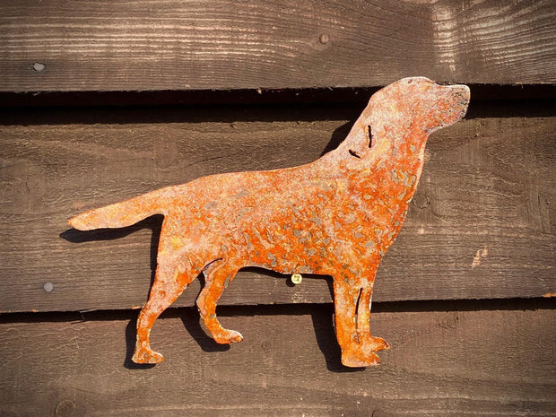Small Exterior Labrador Retriever Gun Dog Andrex Puppy Garden Wall House Gate Sign Hanging Rusty Rustic Metal Art  Gift