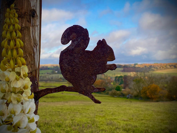 Squirrel Branch Fence Topper