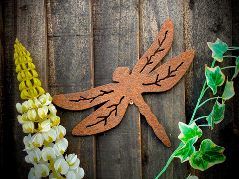 Exterior Dragonfly Garden Wall House Gate Fence Shed Sign Hanging Metal Rustic Bird Bath Bird Feeder Art  Gift   Present