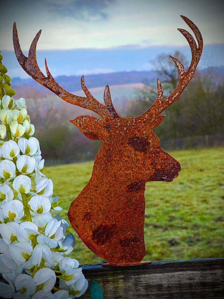 Stag Head