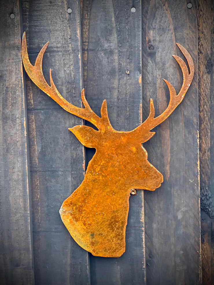 Stag Head