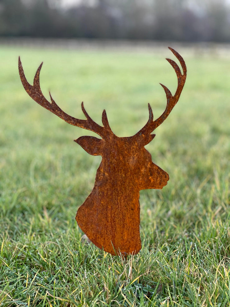 Stag Head