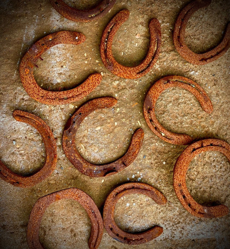 Horseshoes