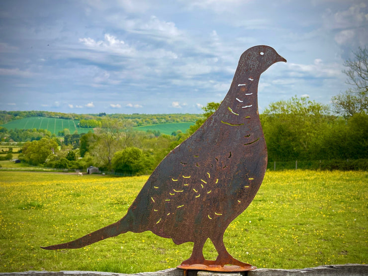 Exterior Rustic Hen Bird Pheasant Cock Bird Game Shooting Wildlife Metal Sign Rustic Garden Art Yard Art Garden Stake Wall Hanging Gift