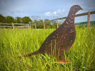 Exterior Rustic Hen Bird Pheasant Cock Bird Game Shooting Wildlife Metal Sign Rustic Garden Art Yard Art Garden Stake Wall Hanging Gift