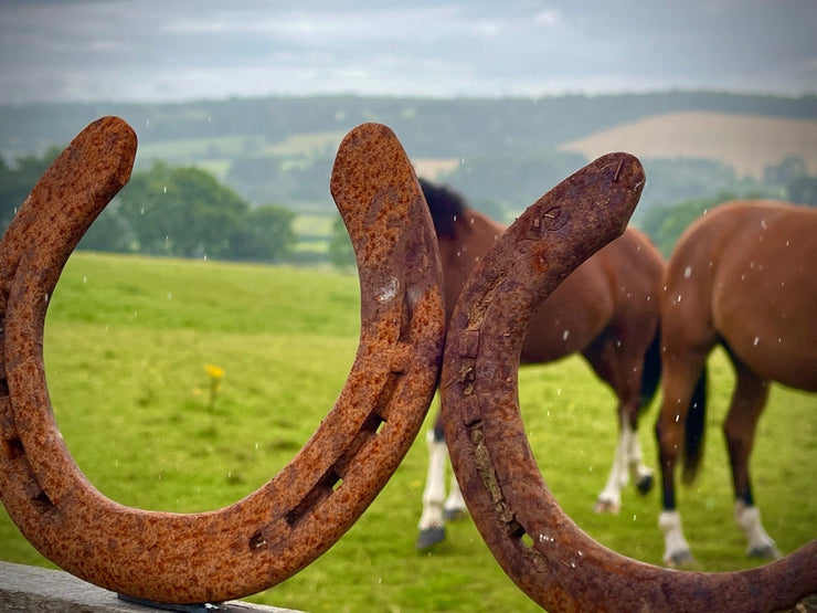 Horseshoes