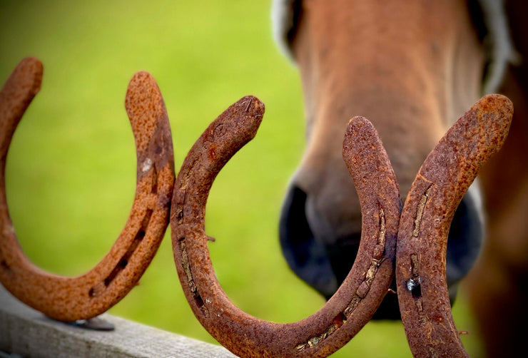 Horseshoes