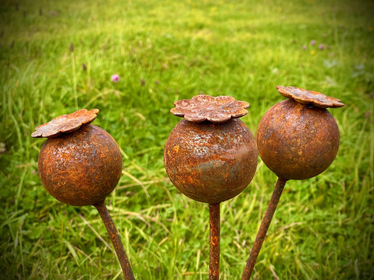 Exterior Rustic Rusty Metal Poppy Head Seed Poppies Flower Garden Art Garden Stake Yard Art Sculpture Spring Gift   Present