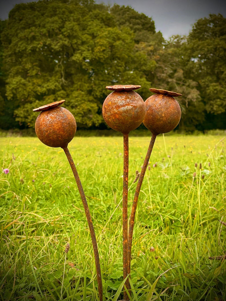 Poppy Sculpture