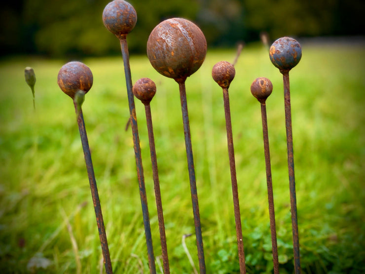 Plant & Garden Stakes