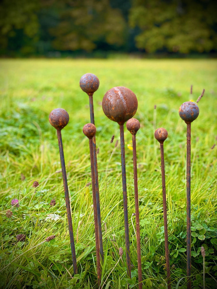 Plant & Garden Stakes