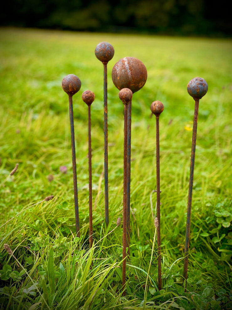 Plant & Garden Stakes